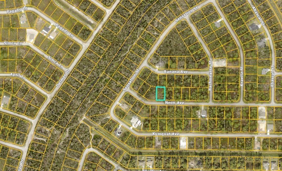 PORT CHARLOTTE SUB 29 - Land