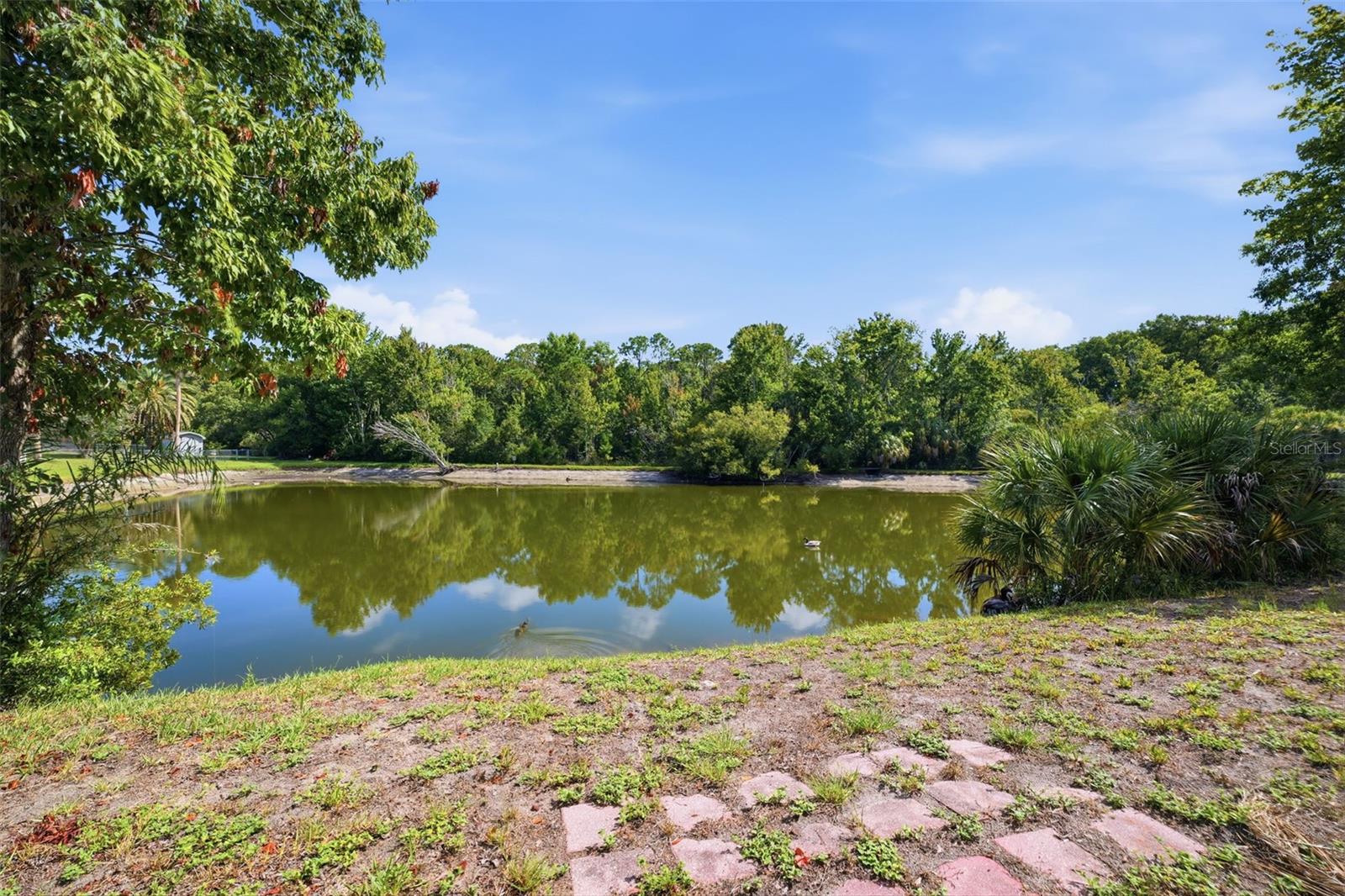 BRIARWOODS - Residential