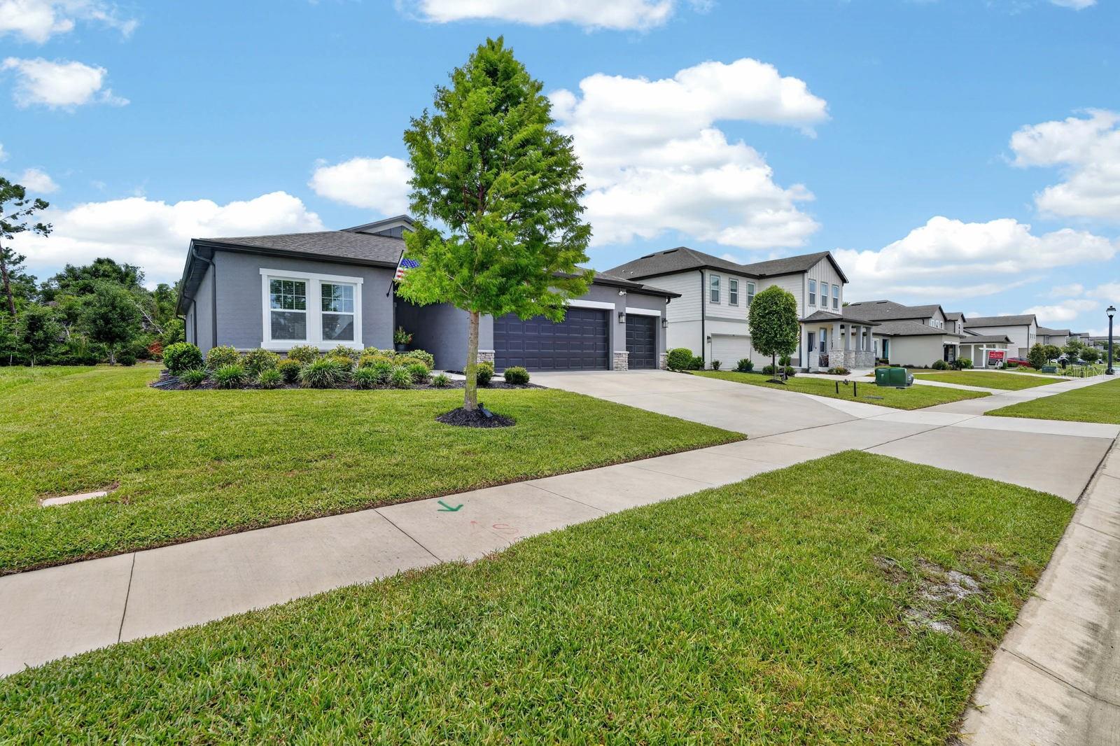 HAMPTON OAKS - Residential