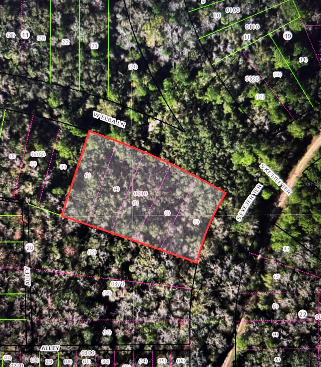 Discover 0.83 acres of beautiful, unspoiled Florida land—an ideal setting for your dream home, private weekend retreat, or smart future investment. Zoned CLR and free of HOA restrictions, this property offers flexibility and freedom to build to suit your vision. Surrounded by natural beauty and located near spring-fed rivers, Gulf Coast fishing, kayaking, and wildlife preserves, outdoor adventure awaits just minutes away. Enjoy the perfect balance of peaceful country living with convenient access to medical facilities, shopping, dining, and US Hwy 19 for an easy commute. Don’t miss this opportunity to own a slice of Florida paradise!