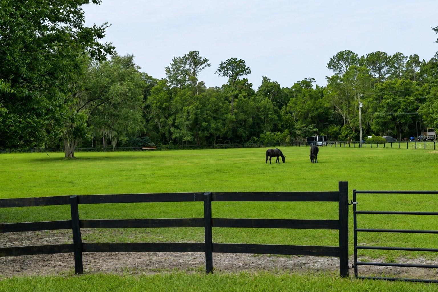 MEADOW WOOD FARMS UN #2 - Residential
