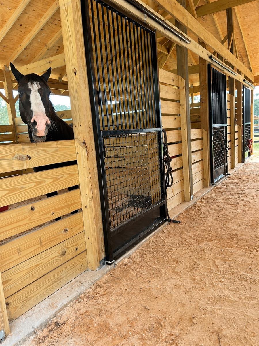 MEADOW WOOD FARMS UN #2 - Residential
