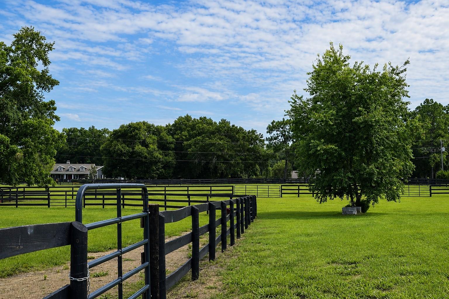 MEADOW WOOD FARMS UN #2 - Residential