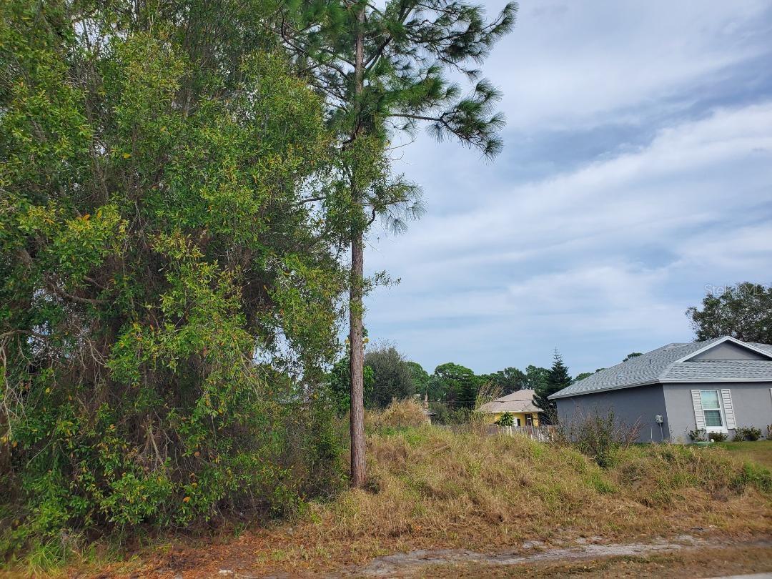 PINE VILLAGE PR-16 - Land