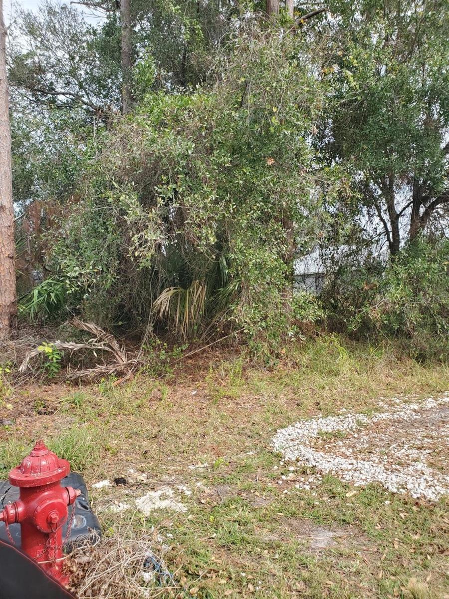 PINE VILLAGE PR-16 - Land