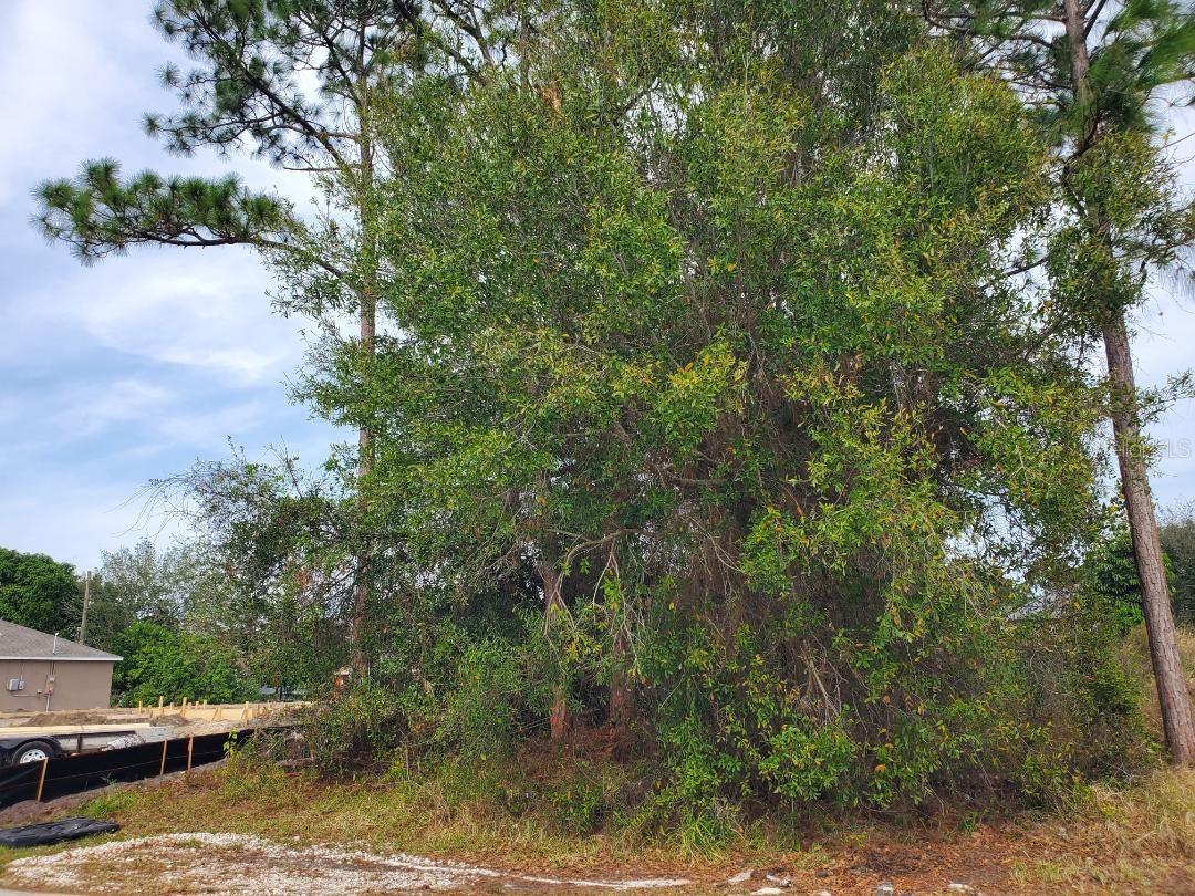 PINE VILLAGE PR-16 - Land