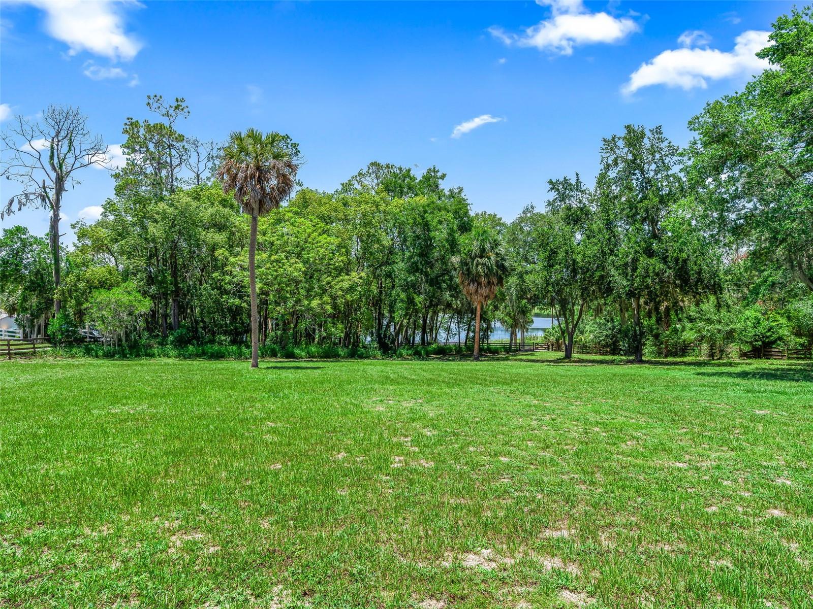 FRUITLAND PARK - Residential