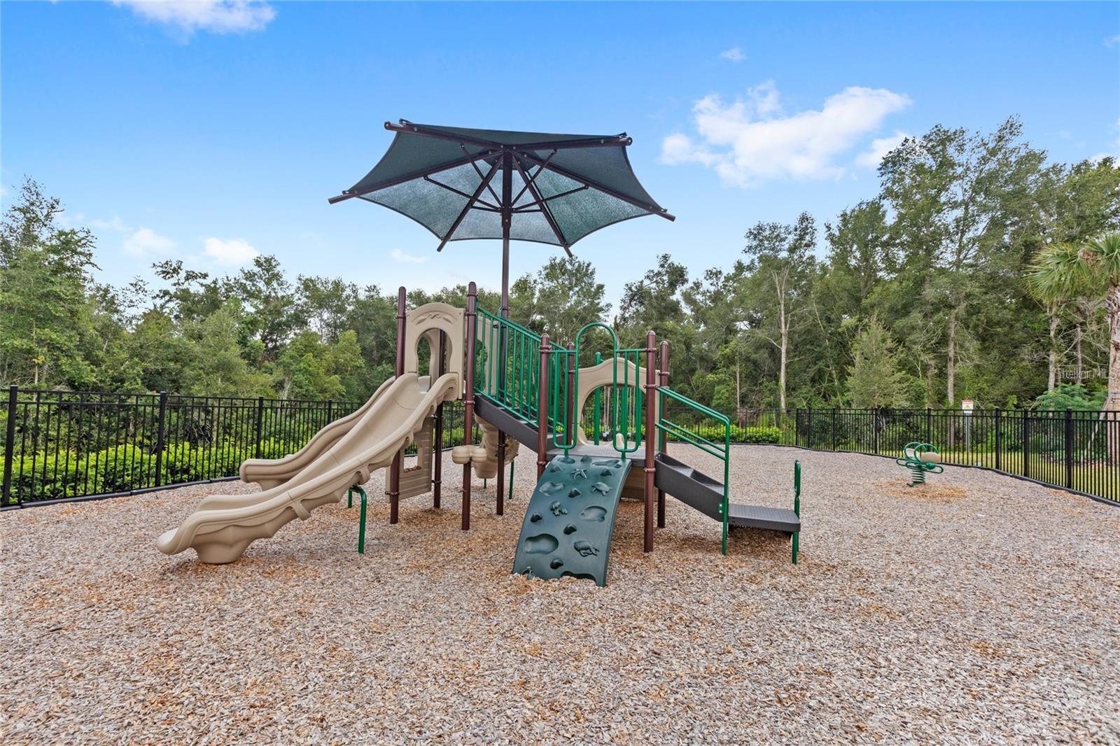FOOTHILLS OF MOUNT DORA PHASE 4 - 1C - Land