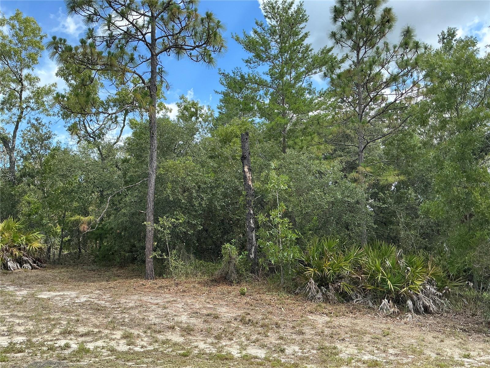 Don't miss this opportunity to own a beautiful 0.46-acre residential lot in the fast-growing community of Weeki Wachee, Florida! This spacious homesite is located on a paved road with electricity available, making it an ideal location to build your custom home or invest in one of Florida's most desirable Nature Coast communities. The property has a clear environmental inspection, providing added confidence and peace of mind for buyers and builders. Enjoy easy access to shopping, dining, schools, medical facilities, golf courses, and outdoor recreation, including the world-famous Weeki Wachee Springs State Park, where you can kayak, paddleboard, and experience Florida's crystal-clear spring waters. With its generous size, excellent location, and development-ready features, this property is the perfect place to build your dream home or expand your investment portfolio.