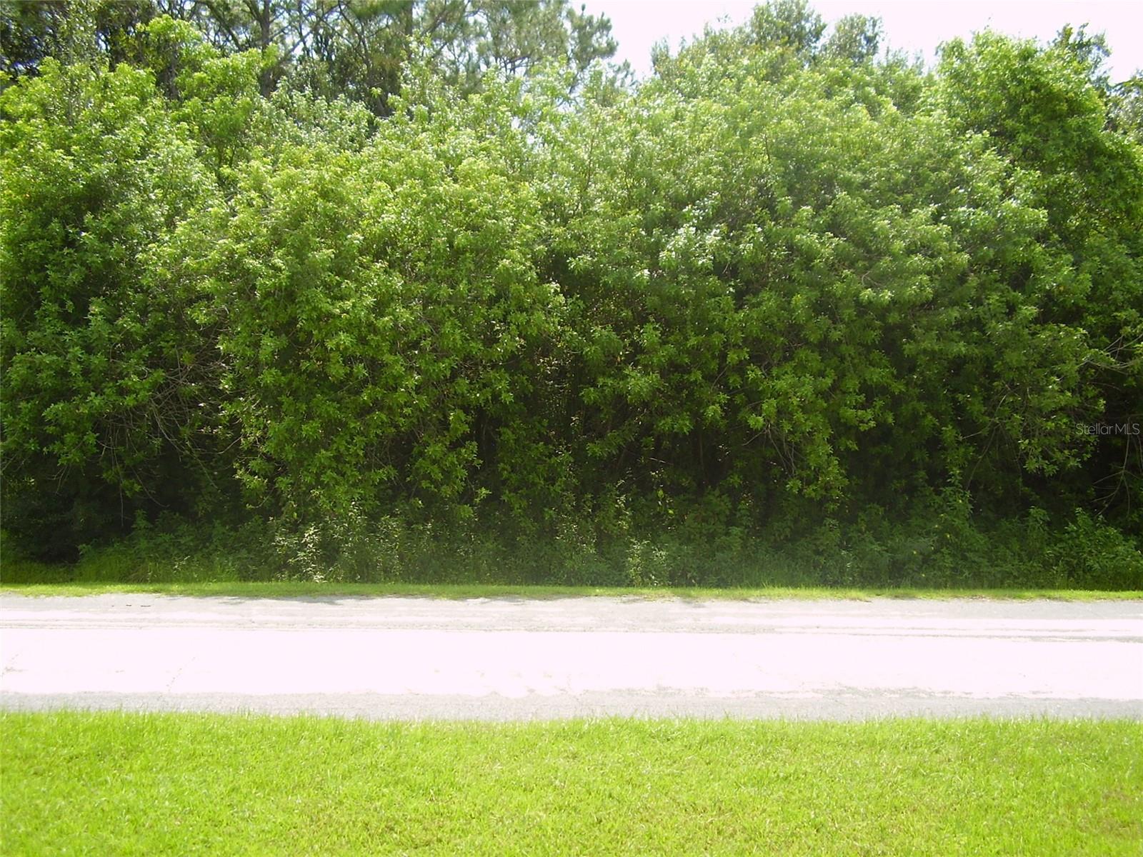 POINCIANA VILLAGE 5 NBHD 1 - Land