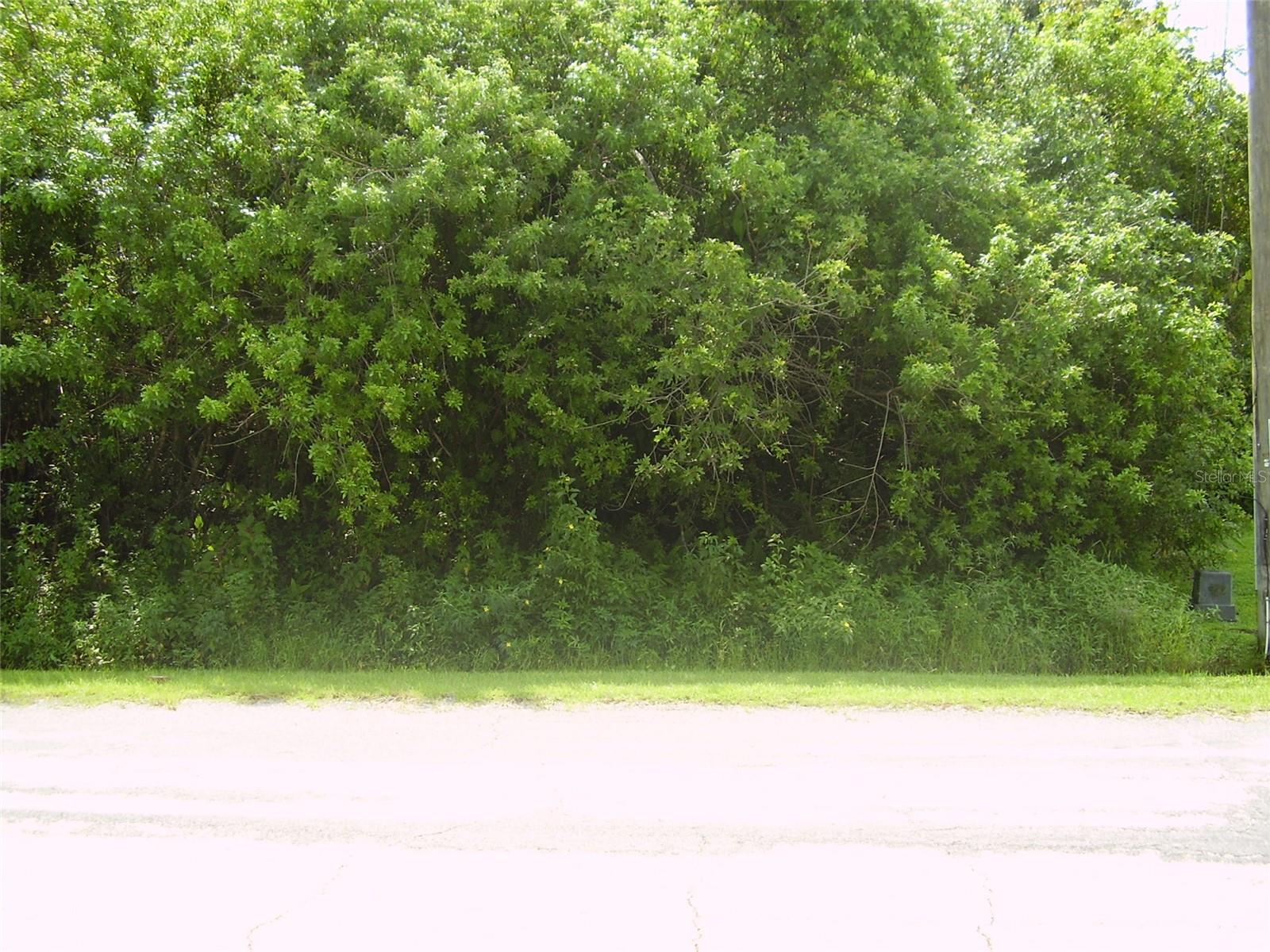 POINCIANA VILLAGE 5 NBHD 1 - Land