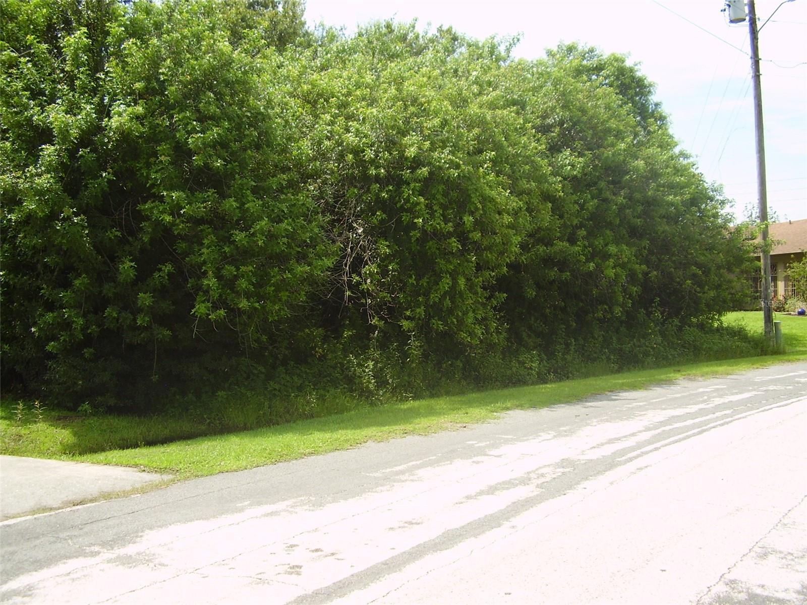 POINCIANA VILLAGE 5 NBHD 1 - Land