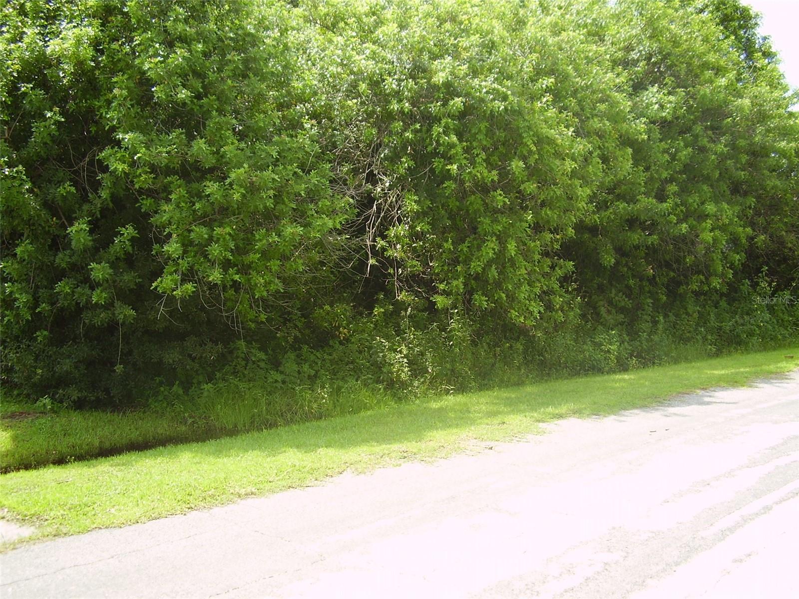 POINCIANA VILLAGE 5 NBHD 1 - Land