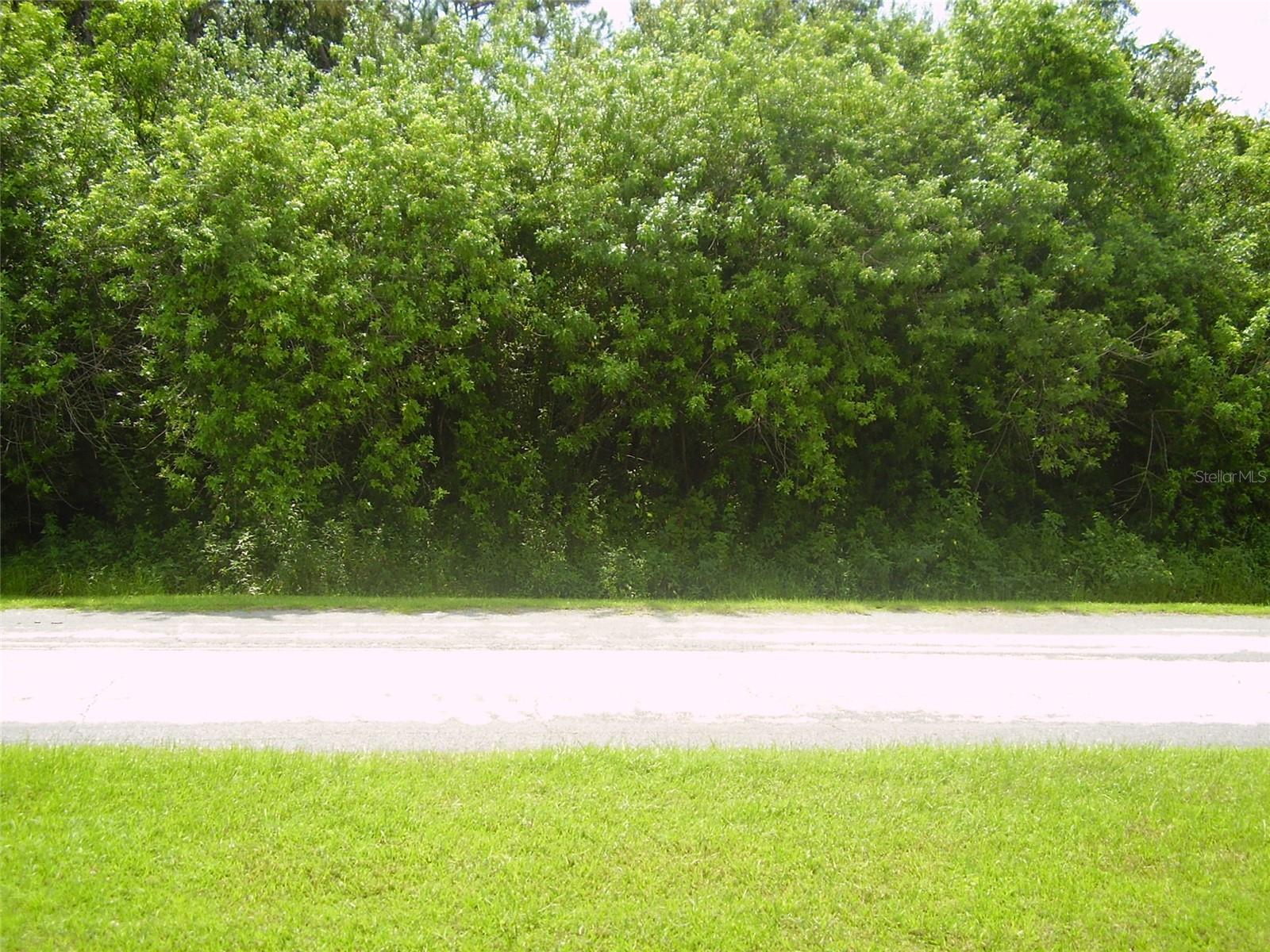 POINCIANA VILLAGE 5 NBHD 1 - Land