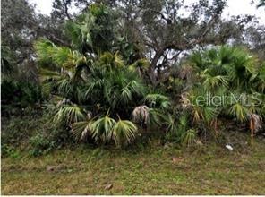 Build your dream home on this lot that is surrounded by other lots that have not been developed!  This is a great location in North Port and easy access to shopping, entertainment and restaurants.  This is currently a wooded lot.  Don't miss out on this great find of land!