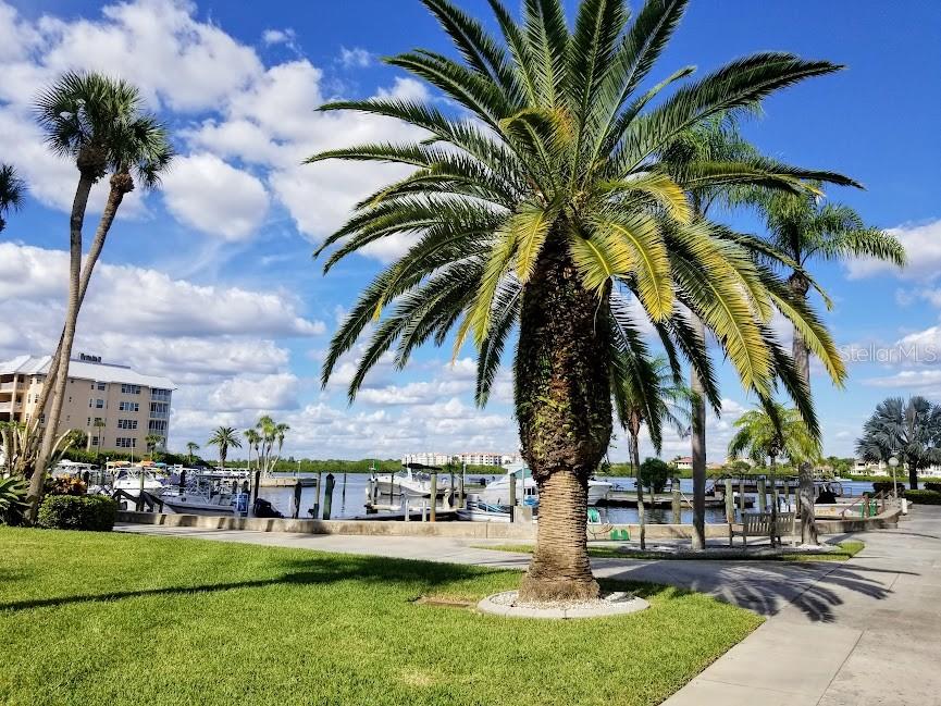 HARBOR TOWERS Y & R - Residential
