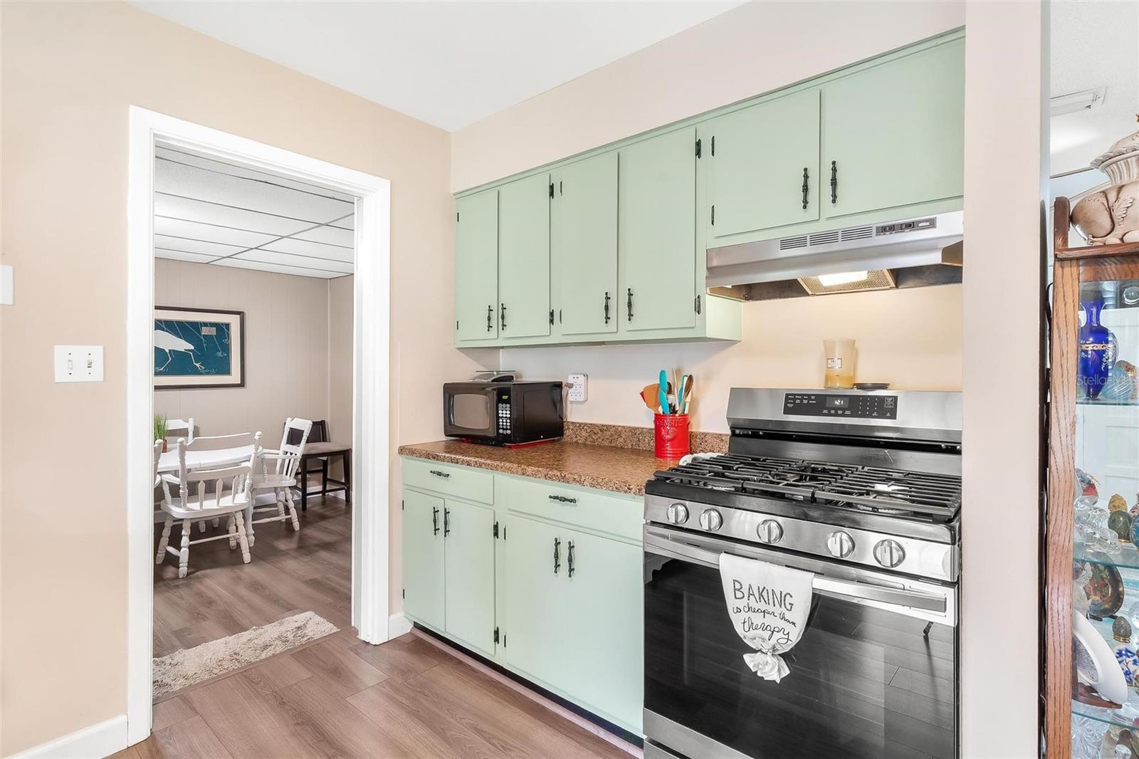 FRUITLAND PARK - Residential