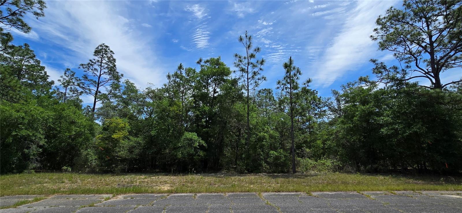 NVESTOR AND BUILDER ALERT!! 1/4 acre parcel in Unit ONE of Sunny Hills!! On a paved road!! Nice homes nearby!! Waterlines and powerlines are close by, on Appollo! Just a short drive to 77, and head to beaches, airports and interstates in less than an hour!! 100% free and clear title with warranty deed!! No HOA!! No time limit to build on the lot!! Lots of things to do in the area! The nearby Sunny Hills Golf and Country Club includes a restaurant, putting greens, and a driving range for hours of relaxing fun. Multiple lakes are in the subdivision for boating, fishing and laying on a beach!! Just a short drive to Panama City. Call today, don't miss out!!