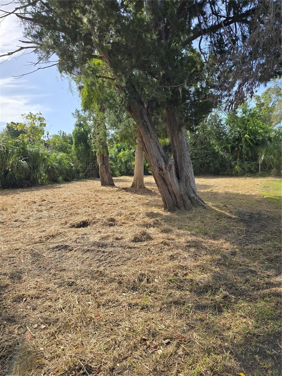SUWANNEE SHORES ADD - Land