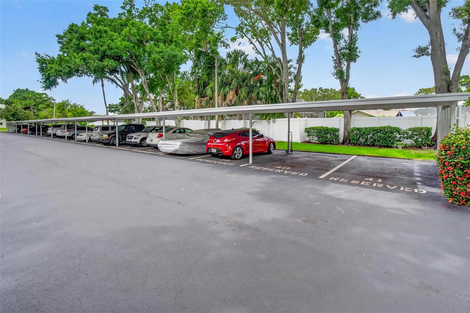 TERRACE PARK OF FIVE TOWNS - Residential
