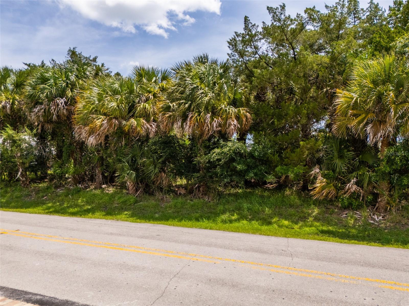PALM HARBOR - Land