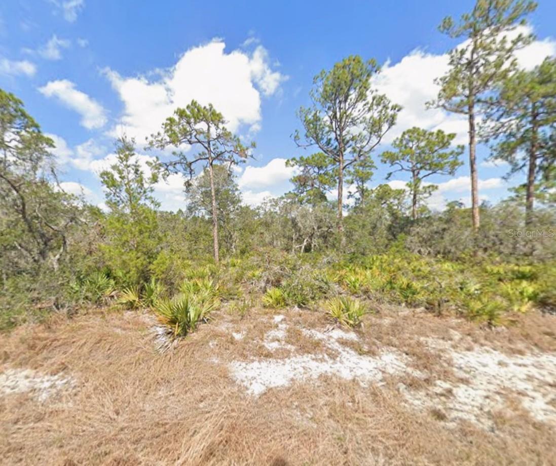 Build your dream home on this beautiful lot in the Leisure Lakes area of Lake Placid! This property offers great opportunity for builders, investors, or future homeowners. Grab it before it’s gone!