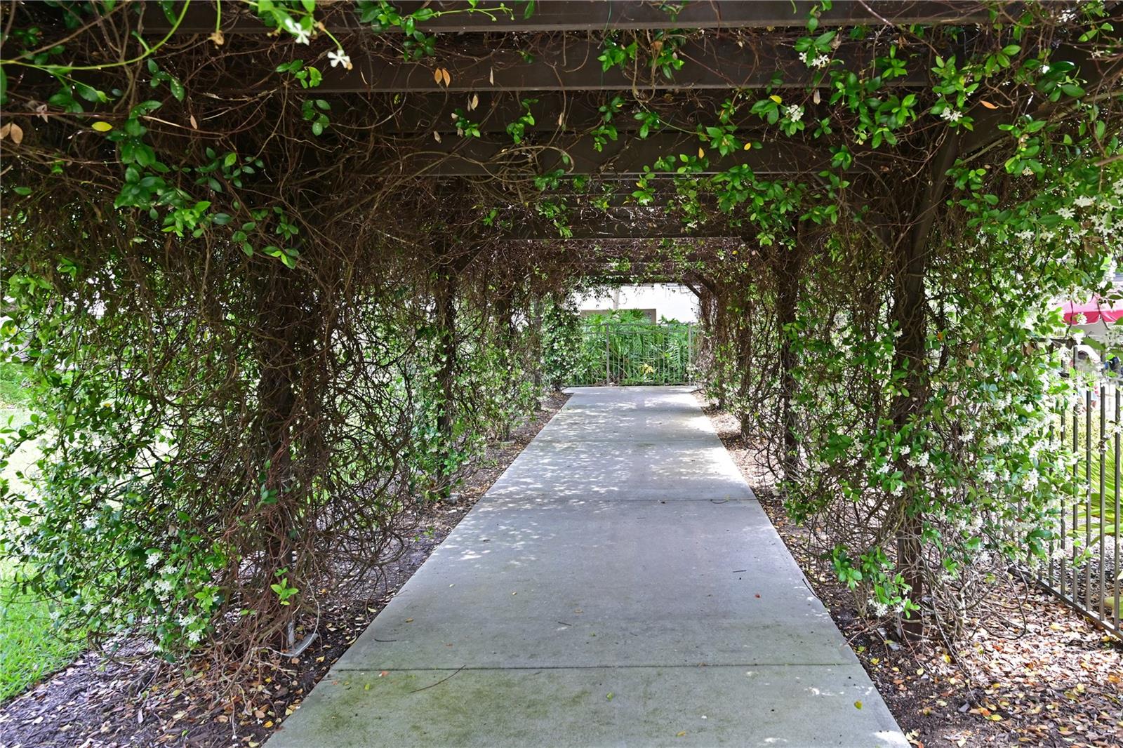 EXCELSIOR BEACH TO BAY 6 - Residential