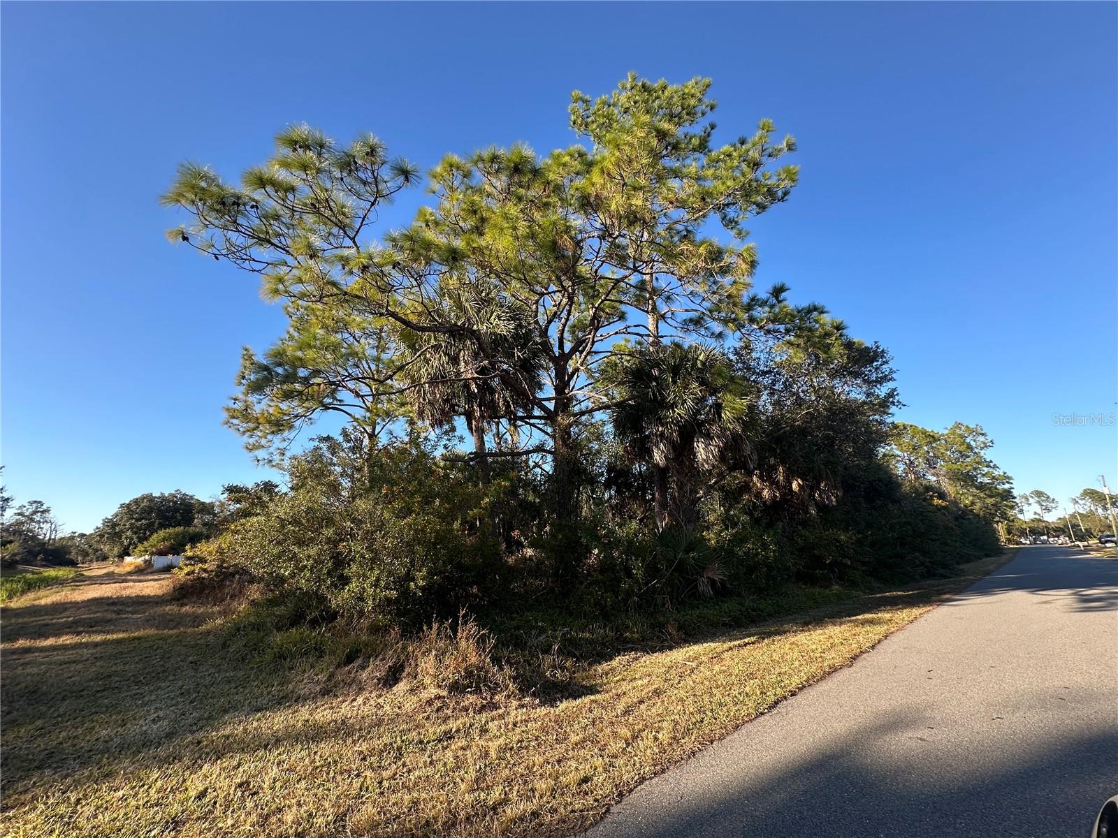 Residential vacant lot located on Clarke Street in North Port, zoned R1 residential and situated in a growing area with nearby homes and new construction.
Lot size approximately 10,625 sq ft (0.24± acres) with no buildings currently on site.
Located in Flood Zone X (outside the 1% and 0.2% annual chance floodplain) per FEMA data.

Adjacent Lot 2 is also available for purchase, offering the opportunity to secure additional space or build side-by-side homes.

Buyers to verify all measurements, zoning, utilities, and building requirements with the City of North Port.