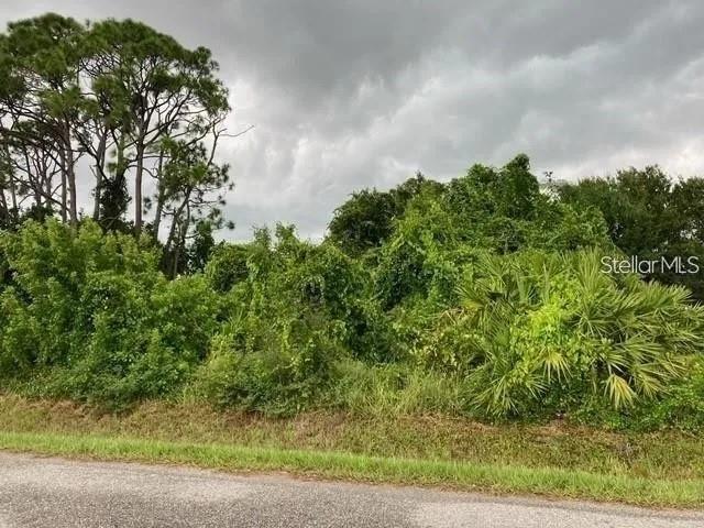 This is a great opportunity to build your dream Home in the desirable area west of the trail in South Venice, close to all local amenities, this lot measures 80 x 100 , owner finance available.