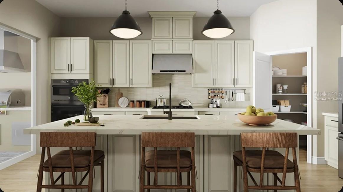 ESPLANADE AT WIREGRASS RANCH - Residential
