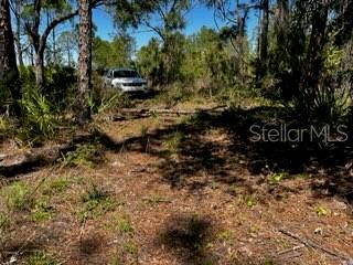 ACREAGE - Land