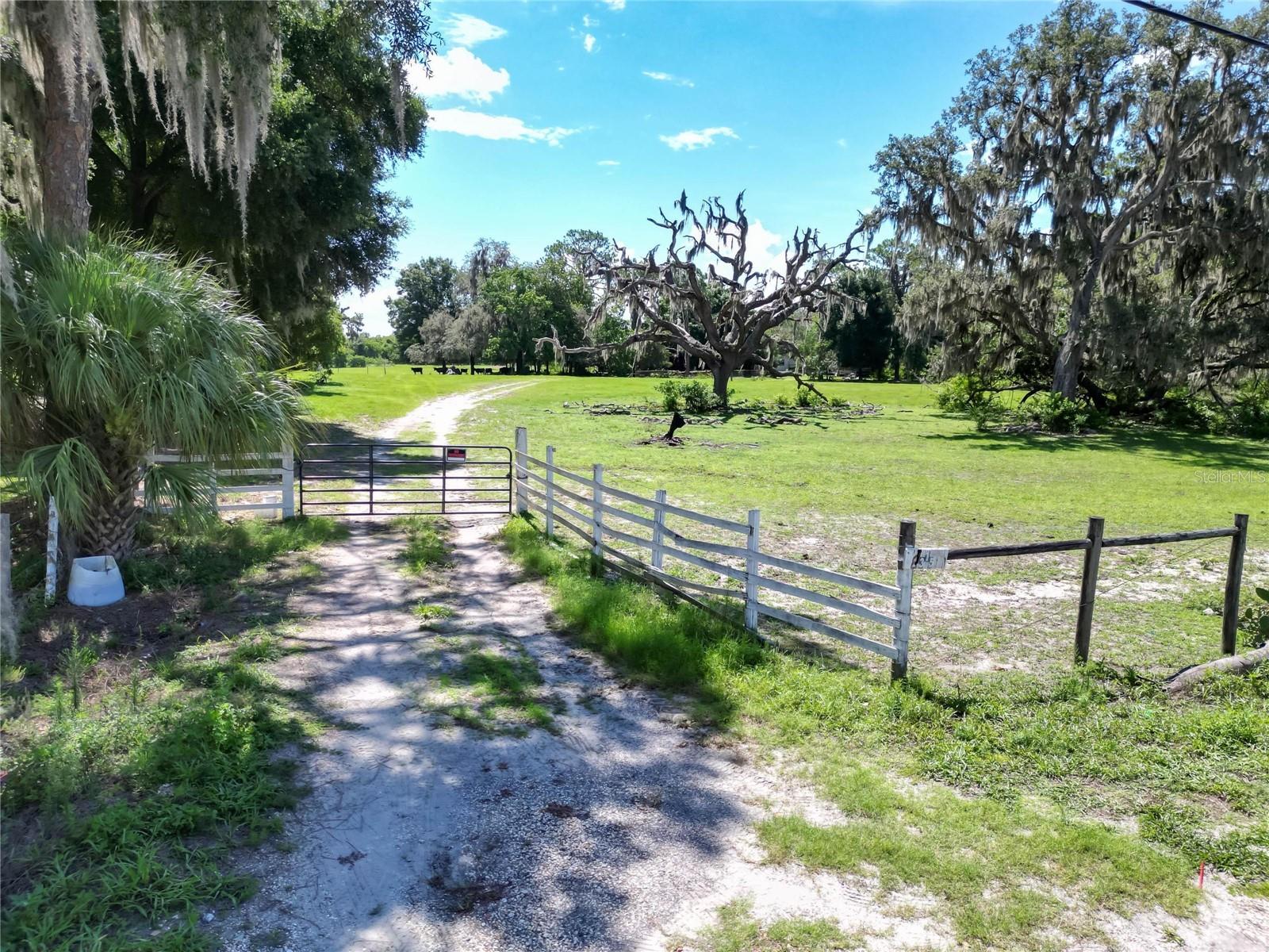 Almost 30 acres of beautiful land featuring a serene retention pond!  This is a wonderful opportunity for a family looking to buid their dream home surrounded by nature on the north side of Lakeland. The property offers endless possibilities.  Create your own private retreat, build stables for horses and cows, or start a farm with plenty of room for a variety of animals and outdoor activities.  Located in one of the fastest-growing markets in Central Florida, Lakeland offers the perfect balance of peaceful country living with easy access to both Tampa and Orlando.  Don't miss the chance to make this versatile property your own.  COME AND SEE IT AND IMAGINE THE POSSIBILITIES!