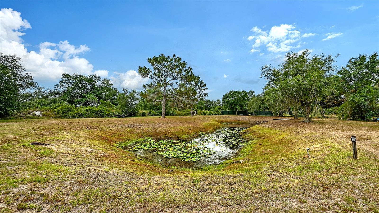 ACREAGE - Residential