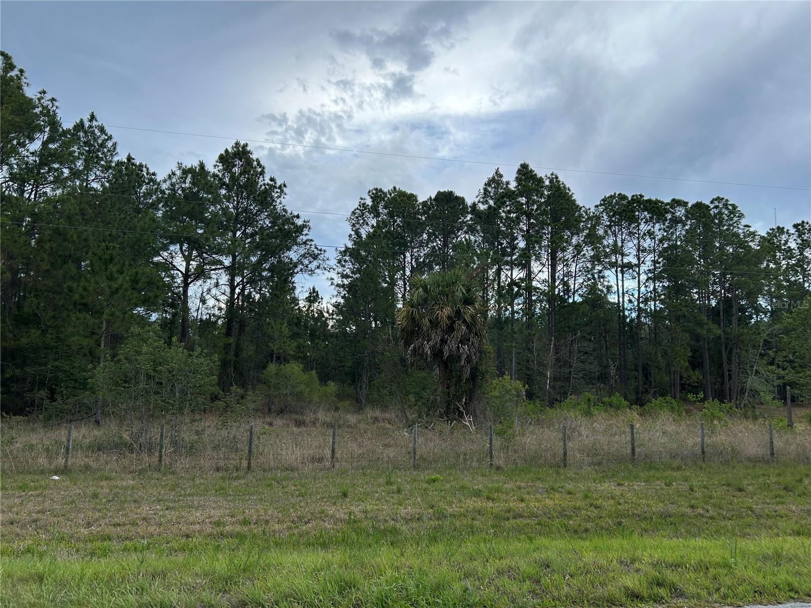 OVER 10 ACRE CORNER PARCEL IN MORRISTON. 10.46 Beautiful Acres on a corner with paved road frontage in Morriston! Escape to the peace and privacy of North Central Florida with this mostly wooded property, ideally located near the Wekiva River (no direct river access), Goethe State Forest, and Gulf Hammock. Whether you're dreaming of building your forever home, creating a private retreat, or enjoying a weekend getaway, this property offers endless possibilities.
Featuring paved County Road 326, this fenced parcel provides excellent access and flexibility. With multiple potential homesites, there is ample room to build while enjoying the beauty and natural character of the property.
Enjoy the convenience of being just minutes from Hwy 19, providing an easy drive to Crystal River, Chiefland, and Florida's Nature Coast, where boating, fishing, kayaking, horseback riding, hiking, and countless outdoor adventures await.
If you've been searching for a beautiful piece of Old Florida with room to roam, No HOA's, no deed restrictions and an unbeatable location near some of the state's finest natural attractions, this property is ready for your vision.