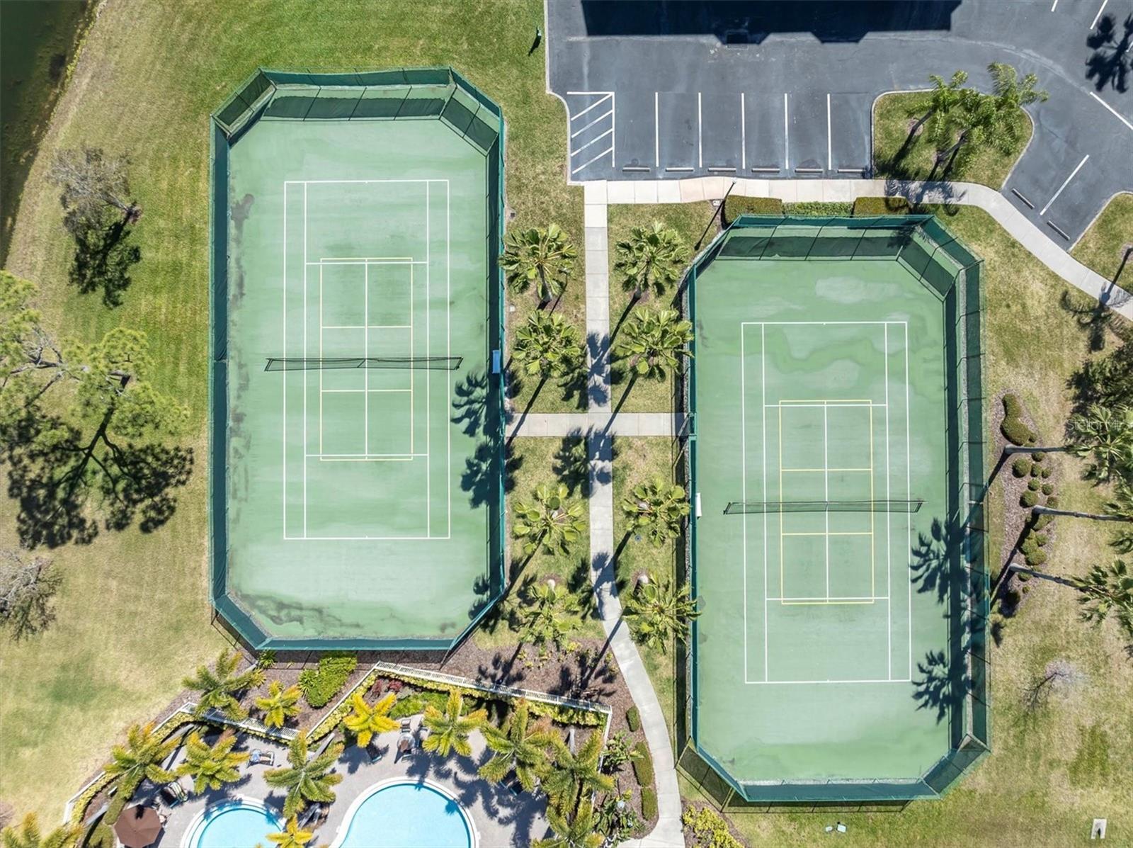SEMINOLE ISLE CONDO - Residential Lease