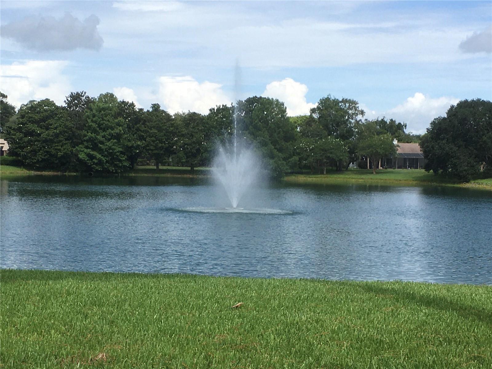 WEKIVA GREEN - Residential