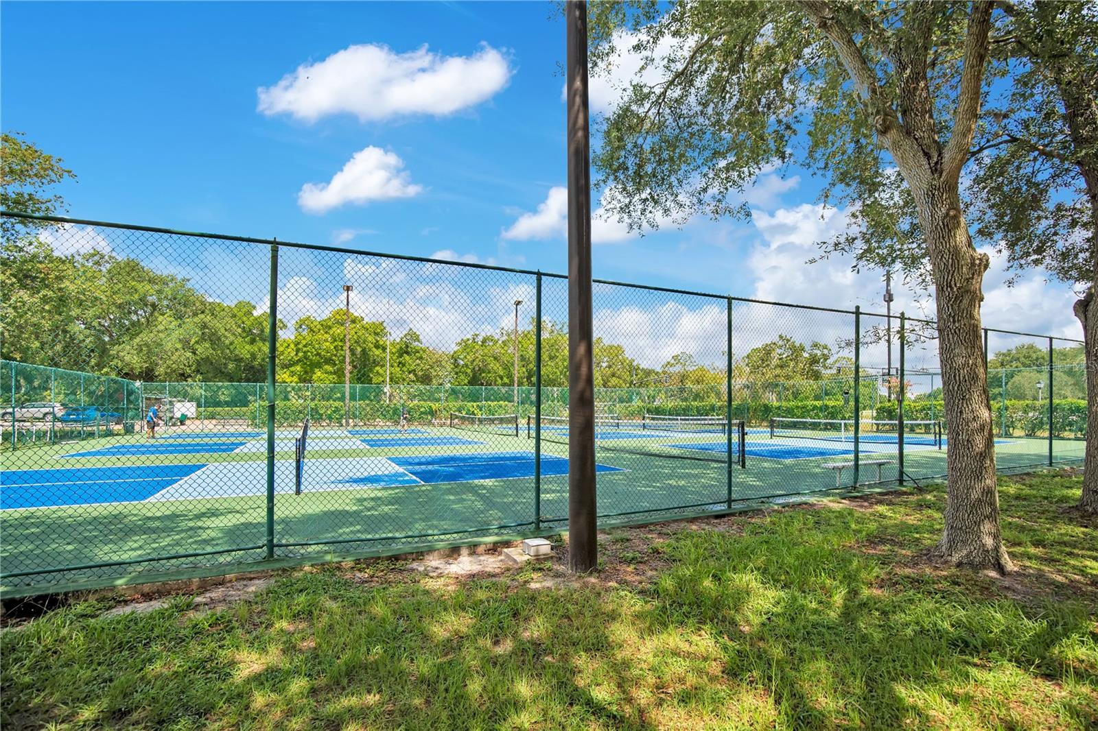 WEKIVA GREEN - Residential