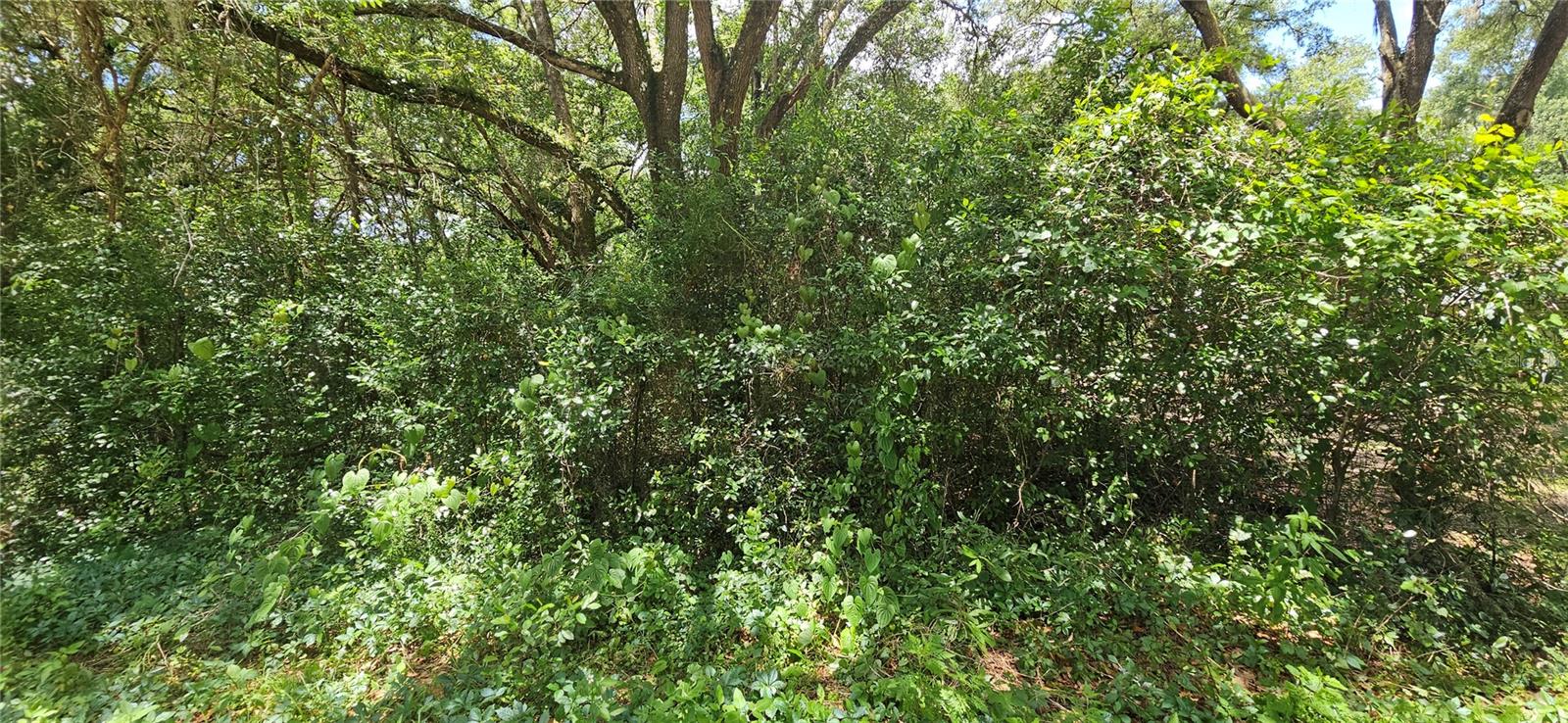 BELLEVIEW HEIGHTS ESTATE - Land