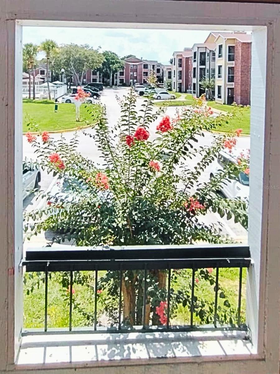 REGENCY GARDENS - Residential