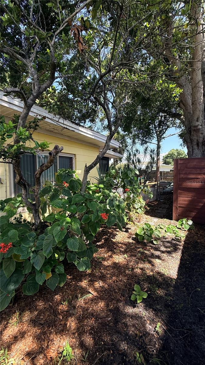 BAYBRIDGE REV - Residential