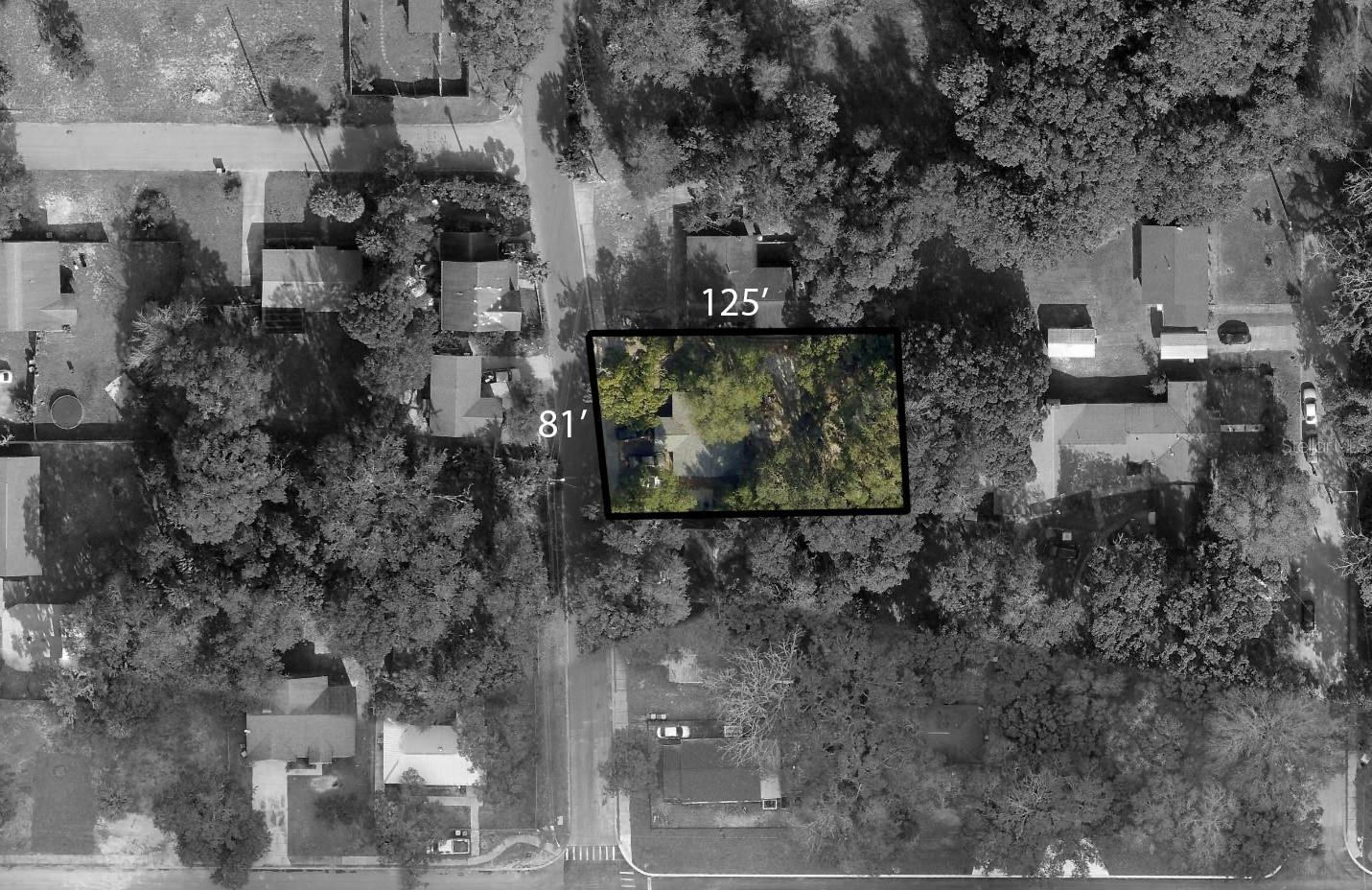 MOUNT DORA - Residential