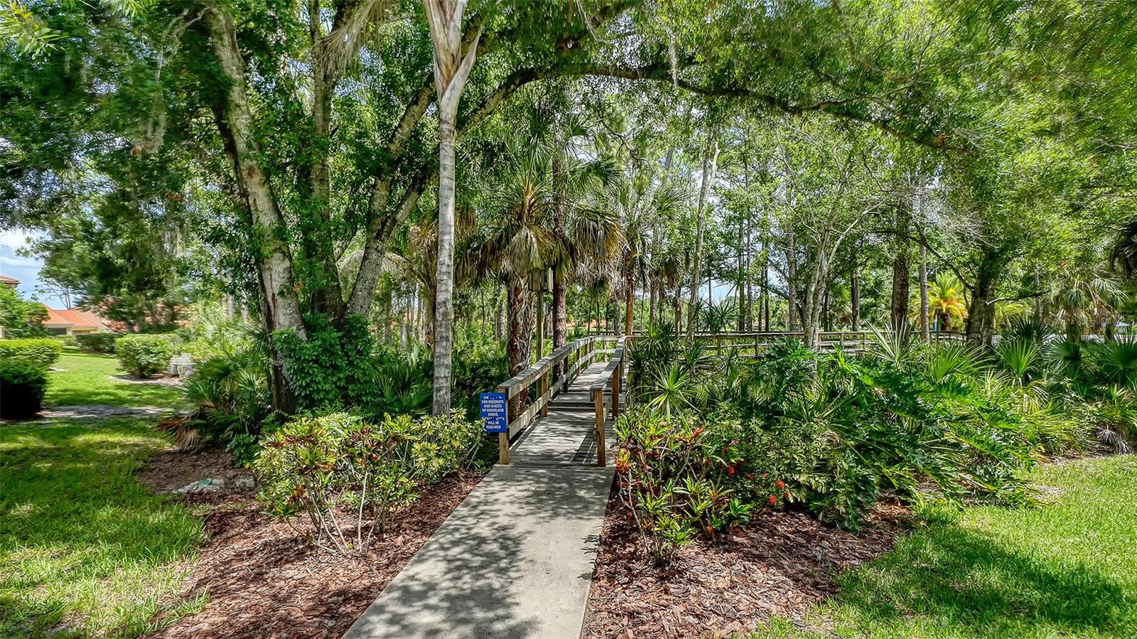WOODLAND GROVE - THE MEADOWS - Residential