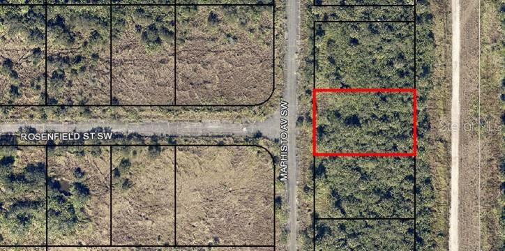 AFFORDABLE, REMOTE, WOODED, RESIDENTIAL BUILDING LOT.   (1) OF (2) Lots for Sale in Brevard County by the Same Seller.   Paved Road, Platted Subdivision with NO HOA.    Take advantage of this land's location and price to hold as an investment or build your dream home in the Sunshine State.   Lot GPS coordinates:  27.928825, -80.713747