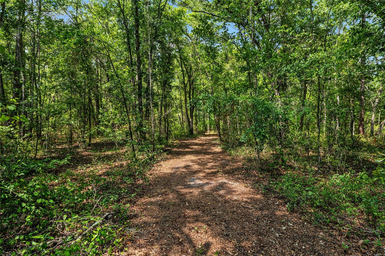 Rare opportunity to own 10.7 private acres in North Alachua County (LaCrosse), backing directly to 241+ acres of protected Alachua County conservation land—offering unmatched privacy, natural beauty, and abundant wildlife right at your doorstep. This property is partially cleared with approximately 2 acres already prepped for your custom home, saving you time and upfront costs. Existing improvements include a well and septic system (condition unverified), along with a shed and pole barn, providing a functional head start for your build or recreational use. Outdoor enthusiasts will appreciate the established trail system, perfect for riding motocross bikes, ATVs, or exploring by side-by-side, while hunters will value the deer cameras and feeder already in place (but do not convey) and the consistent wildlife supported by the adjacent conservation land. Enjoy peaceful country living with no HOA restrictions, yet remain conveniently located just minutes from Gainesville, the City of Alachua, and the Santa Fe River for tubing, kayaking, and year-round outdoor recreation. Whether you're looking to build your dream home, create a private retreat, or invest in land with long-term upside, this property offers a rare blend of usability, seclusion, and accessibility ***PLEASE CALL BEFORE GOING BY. SELLER HUNTS ON LAND FREQUENTLY.**