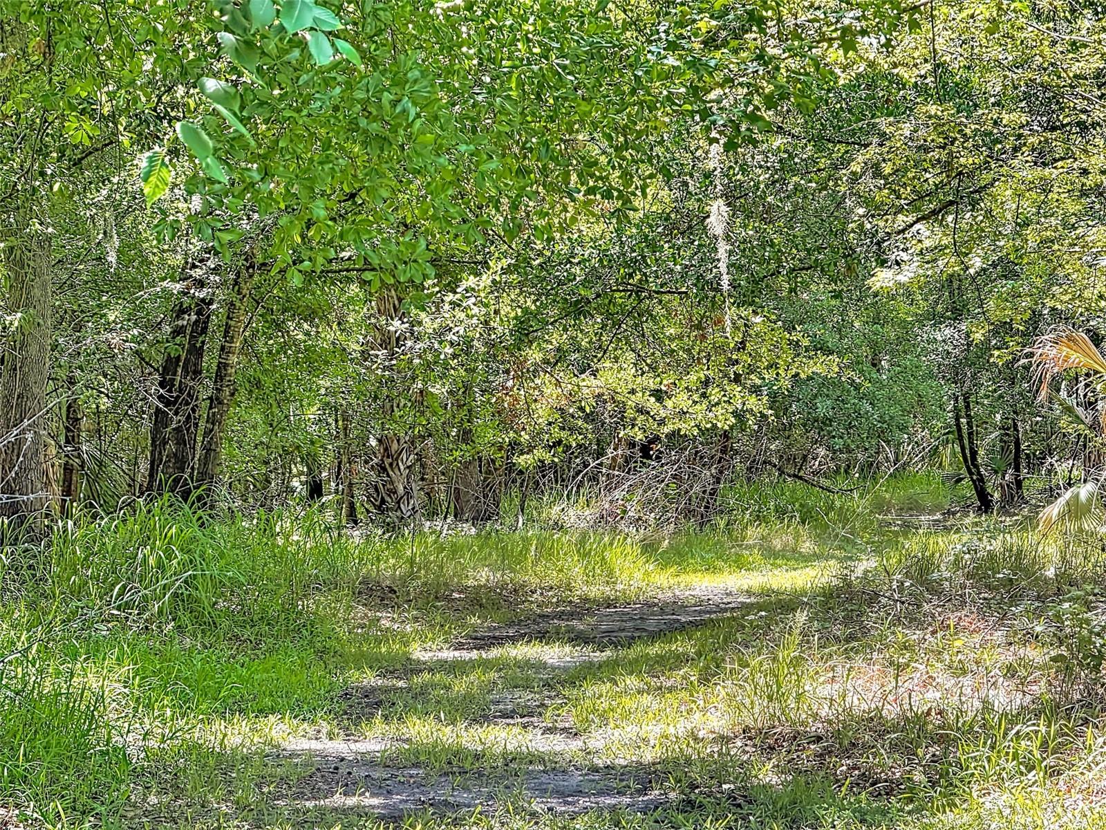 NOT IN SUBDIVISION - Residential