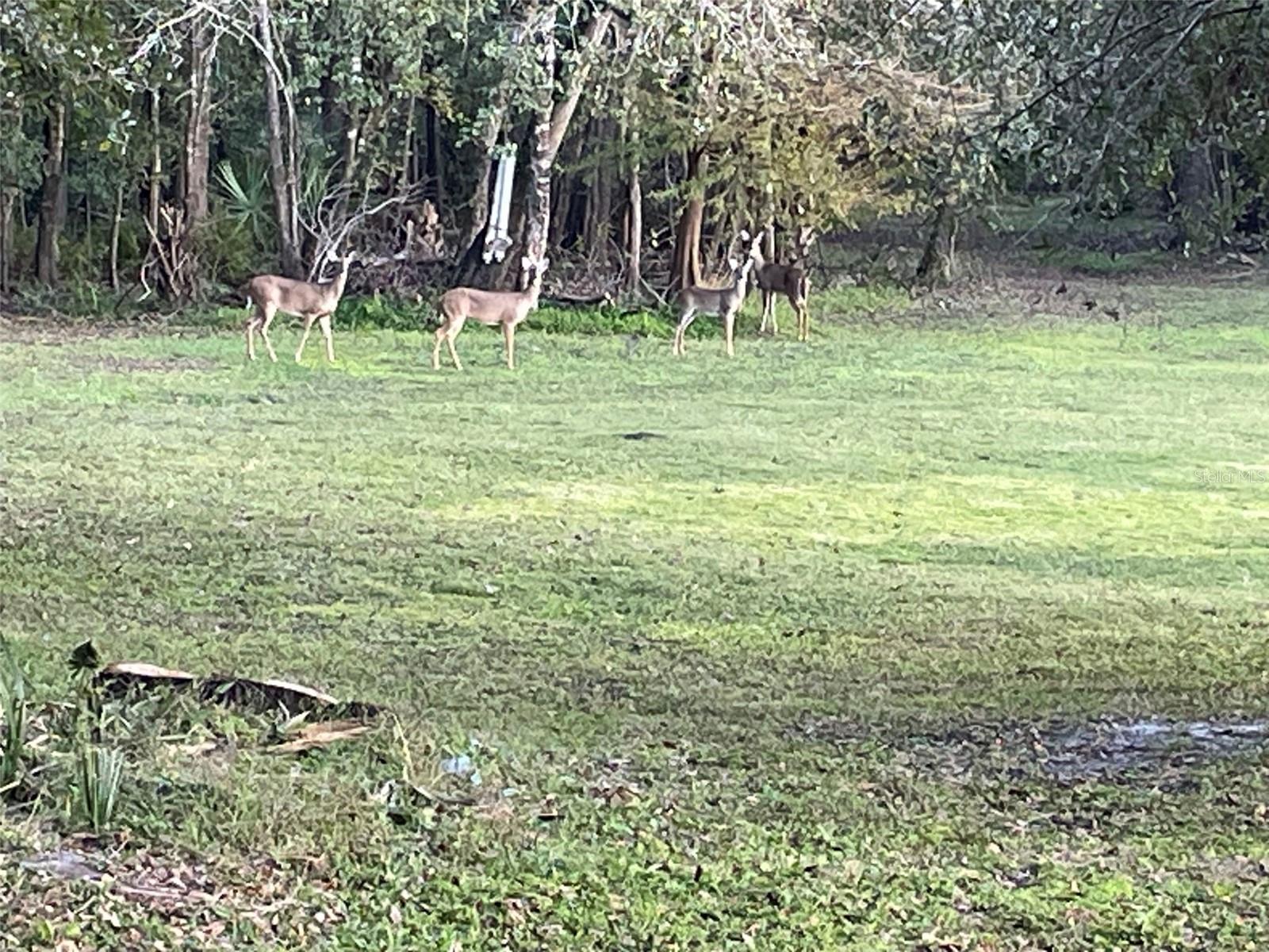 NOT IN SUBDIVISION - Residential