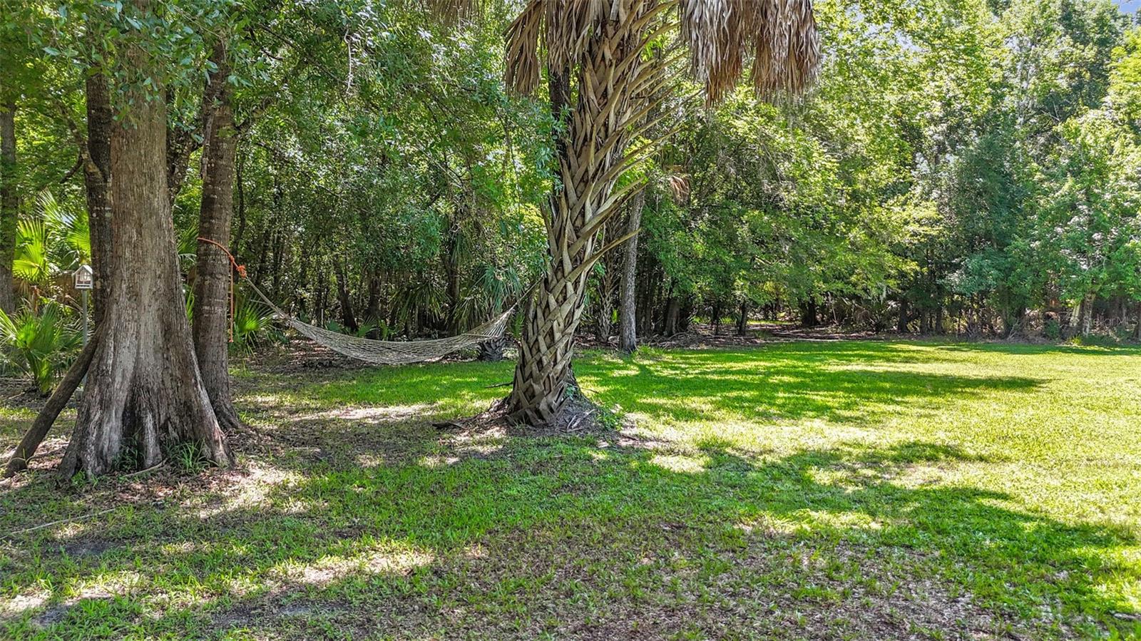 NOT IN SUBDIVISION - Residential
