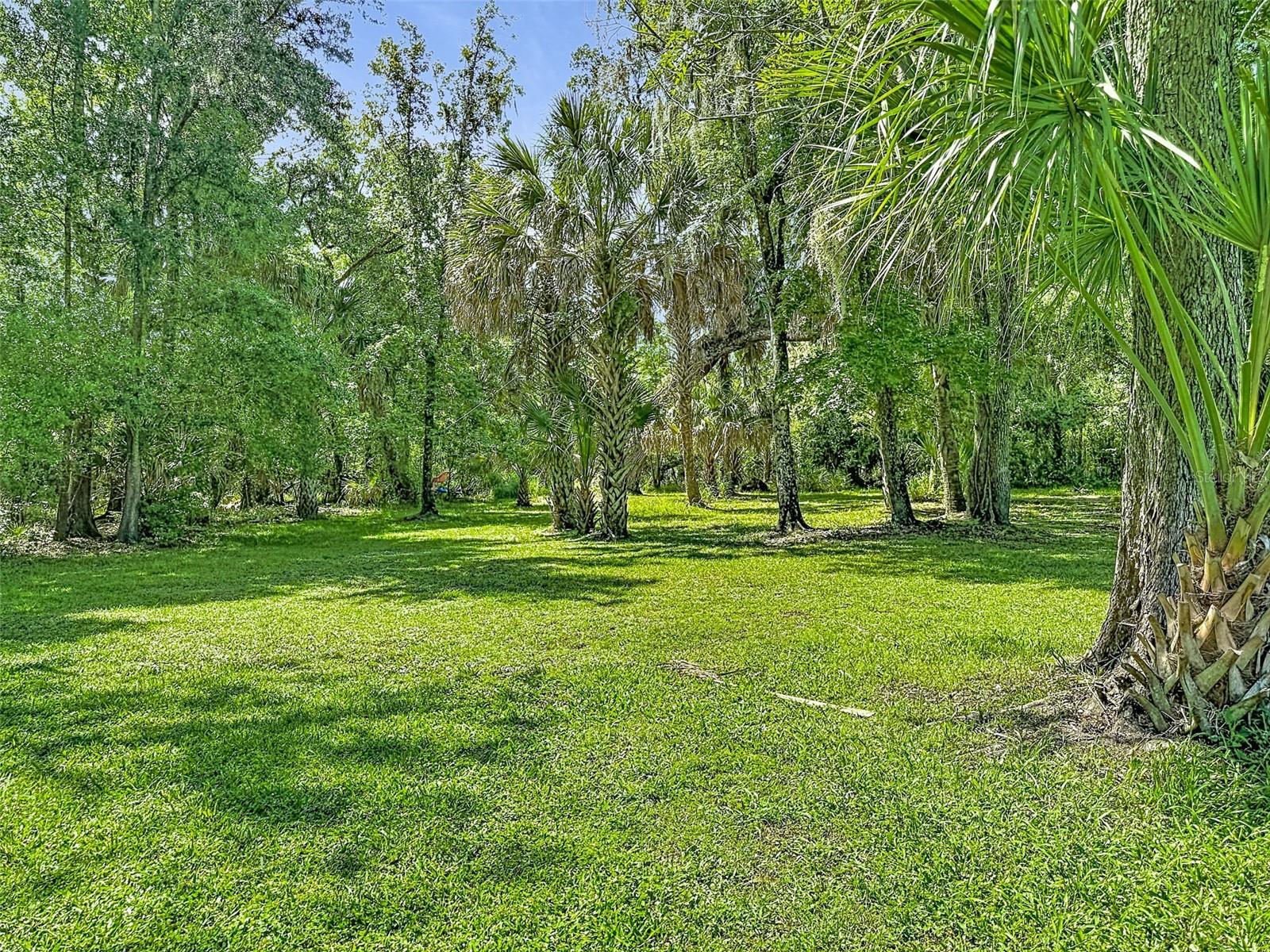 NOT IN SUBDIVISION - Residential