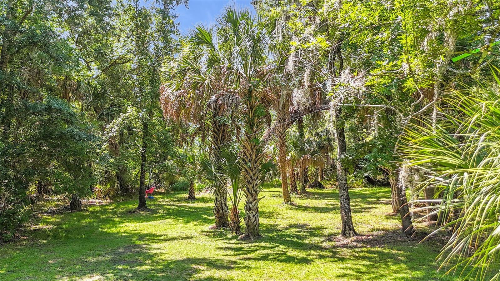 NOT IN SUBDIVISION - Residential