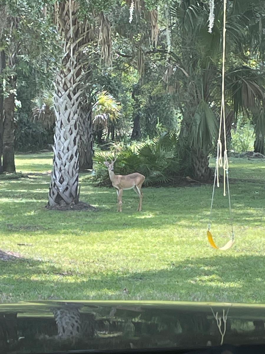 NOT IN SUBDIVISION - Residential